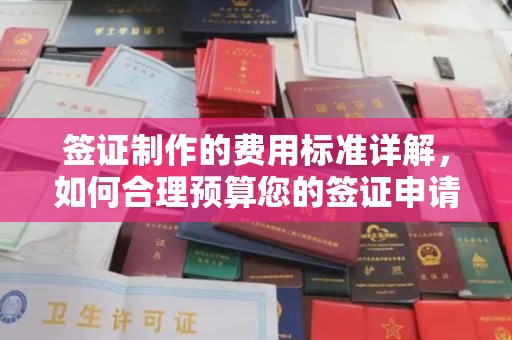 光明新区签证制作的费用标准详解，如何合理预算您的签证申请成本